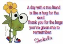 Shakela - A True Friend - Frog