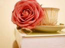 Rose and Book