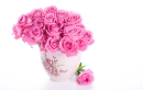 Pink Roses