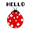 kochee
