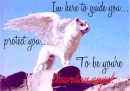 Guardian angel