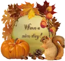 Have a nice day!