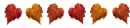 autumn leaves