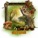 Animated GIFs