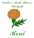 October Birth Flower - Marigold - Roni