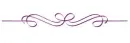 Purple Divider