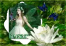 The Faerie