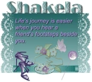 Life's Journey - Shakela