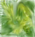 Green Sprig Flow