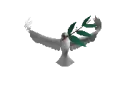 dove