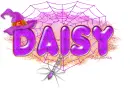Daisy-Violet Halloween Spider