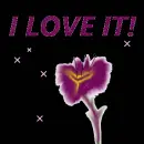 I LOVE IT 2