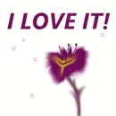 I LOVE IT!