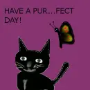 pURFECT DAY