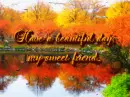 Have a beautiful day