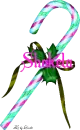 SHAKELA