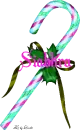 SIABHRA