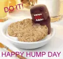 happy hump day