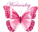 Wednesday