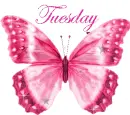 Tuesday
