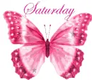 Saturday