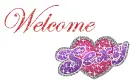Welcome Sexy