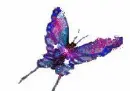 Sparkle butterfly