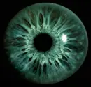eye reaching