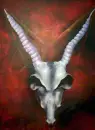 head