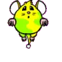 Squeakers the mouse sooooo cute