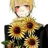 Russian Sun Flowers