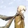 In The Snow