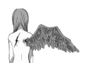 Torn Wings