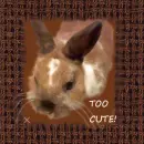 Too Cute 2