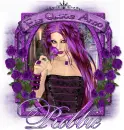 Robbie-Purple Roses