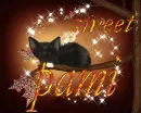 sweet pami