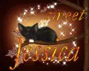 sweet  jessica