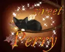 sweet perry