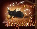sweet migdalia