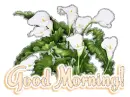 good morning