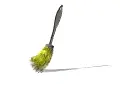 whisk broom