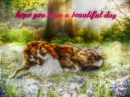 have a beautiful day