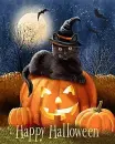 Happy Halloween