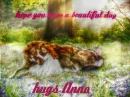 have a bautiful day hugs  anna