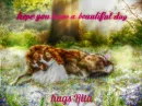 have a beautiful day hugs rita