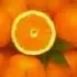 oranges