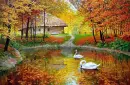 Swans
