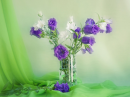 Purple Flowers