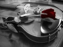 Red Rose and Violin