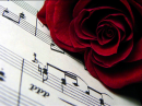Musical Rose